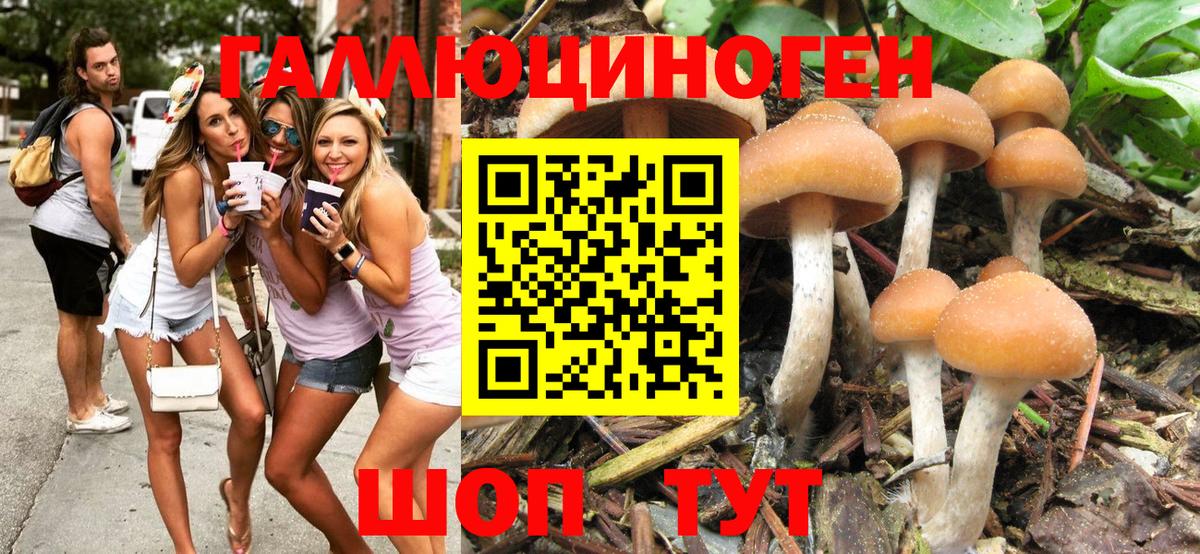 Тында  Галлюциногенные грибы мухоморы  Вход с VPN 